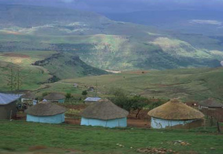 Zulu huts