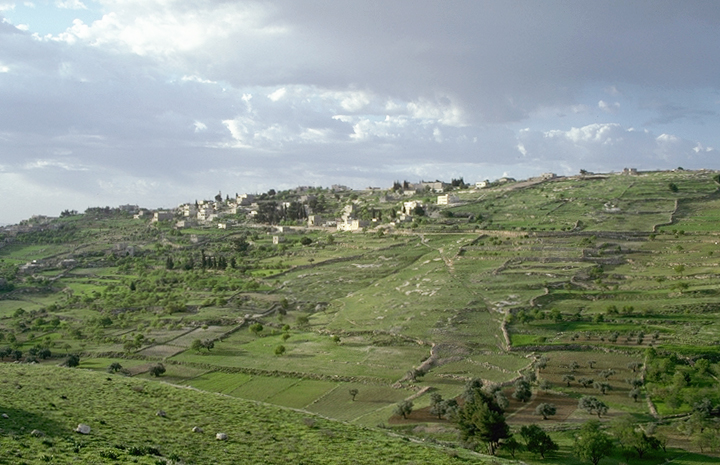 Village in Judea